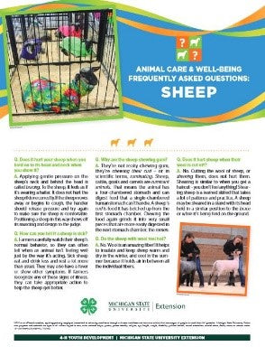 Cover of poster "Animal care and well being frequently asked questions: Sheep." A picture of sheep is at the top of the poster in front of a multi-colored banner. The bottom half of the poster features text layed out in a question and answer format. A picture of two girls holding sheep is in the bottom right corner. 