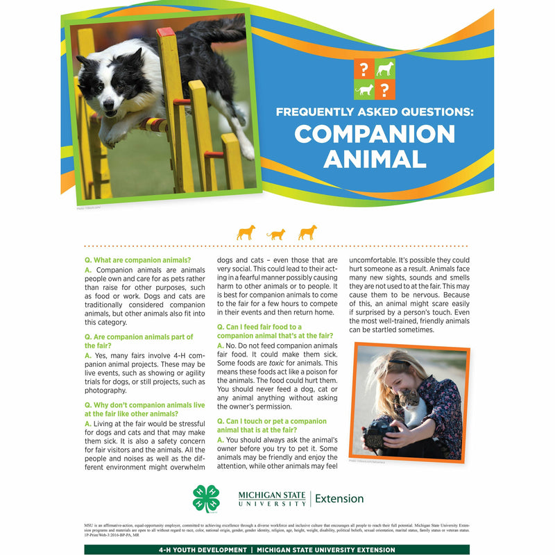 PostA poster titled "Frequently asked questions: companion animal." A picture of a dog jumping over an obstacle is at the top of the poster in front of a multi-colored banner. The lower half of the poster contains text with headings listed in a question and answer format. A girl holding a cat is pictured in the bottom right.
