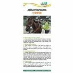 Bookmark titled "Animal care and well being frequently asked questions: Horse." A Picture of a girl guiding a horse is at the top of the bookmark. The lower half of the bookmark contains text with headings listed in a question and answer format.