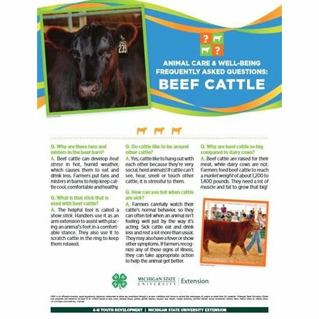 Poster titled "Animal care and well being frequently asked questions: Beef Cattle." A picture of a cow is at the top of the poster in front of a multi-colored banner. The lower half of the poster contains text with headings listed in a question and answer format. A boy guiding a cow is pictured in the bottom right.