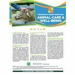 Poster titled "Animal care and well being frequently asked questions" A picture of a hand of a man petting a sheep is at the top of the poster in front of a multi-colored banner. The lower half of the poster contains text with headings listed in a question and answer format.