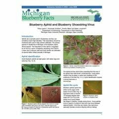Cover of a book titled "Michigan Blueberry Facts: Blueberry Aphid & Blueberry Shoestring Virus". The cover has paragraph-style text with various images of leaves, plants, branches, and bugs circulated amongst the paragraphs.