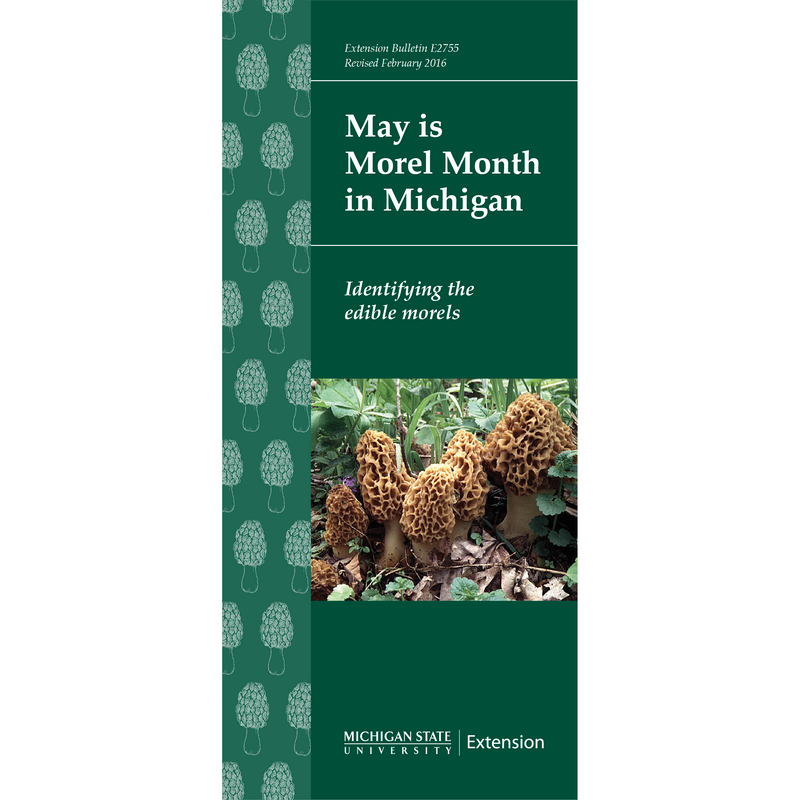 Cover of the "May is Morel Month in Michigan: Identifying the edible morels" guide. Background is green with an illustrated border on the left side of morel mushrooms and a photo of morels spanning the bottom-middle area