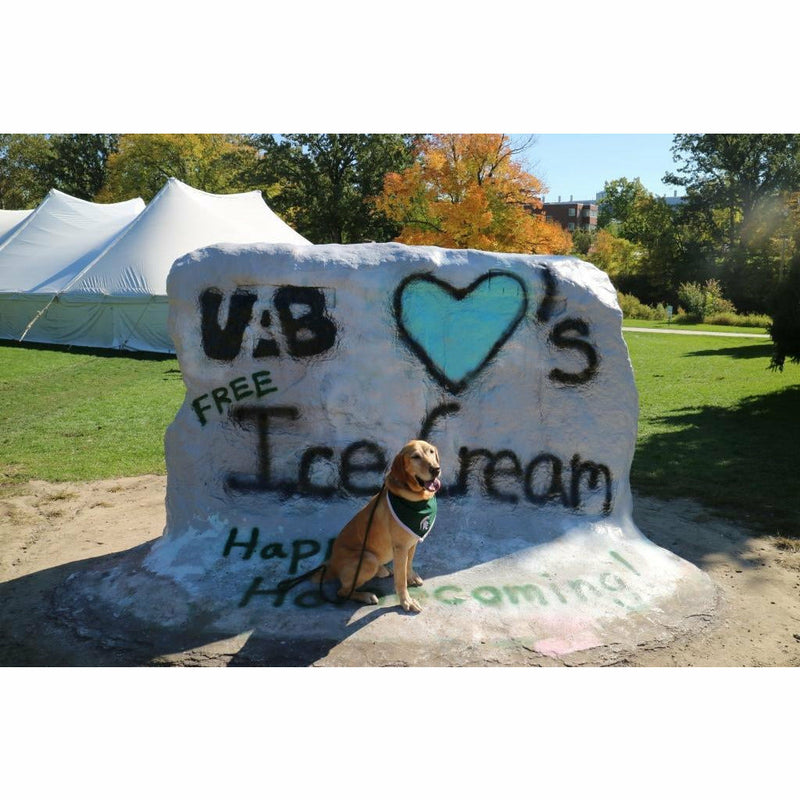 Photo from inside the book of the rock painted with text reading UAB loves free ice cream, with Zeke the Wonder Dog sitting in front.