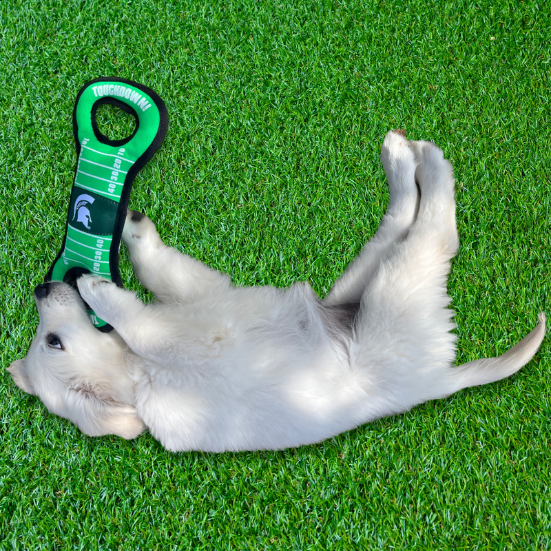 Golden retriever puppy rolling around in grass and playing with the Touchdown Tug Toy, which appears to be about half his size