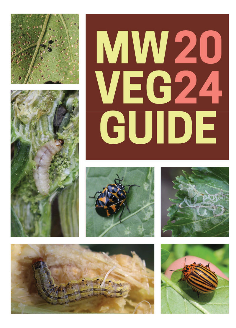 Cover of the guide "2024 Midwest vegetable production guide." Next to and under the title in various boxes are  pictures of insects and damaged crops..