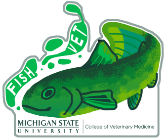 A sticker of a green fish. To the left and above the fish are the words "Fish Vet". Underneath the fish is the Michigan State University College of Veterinary Medicine signature logo. 