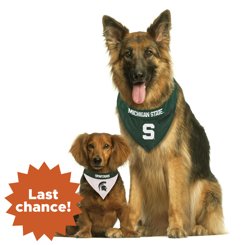Michigan State Spartans Reversible Pet Bandana