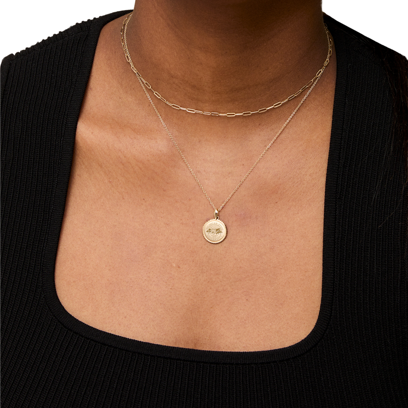 A woman wearing a gold, chain link necklace with a medallion styled to look like a coin. Around the medallion are outward facing triangles to make the coin medallion resemble a sun. In the middle of the medallion is the MSU seal.