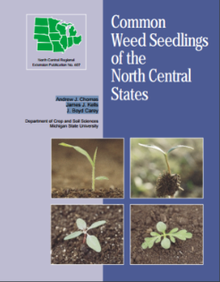 Cover of a book titled "Common weed seedlings of the North Central States." The cover has a purple background and below the title text is a collage of different weed seedlings growing. 