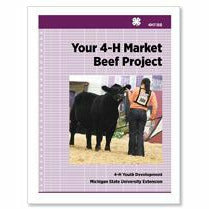 Cover of the downloadable PDF version of "Your 4-H Market Beef Project". The cover has a light purple background with a grid pattern. The cover also has an image of a girl in a pen guiding a cow.