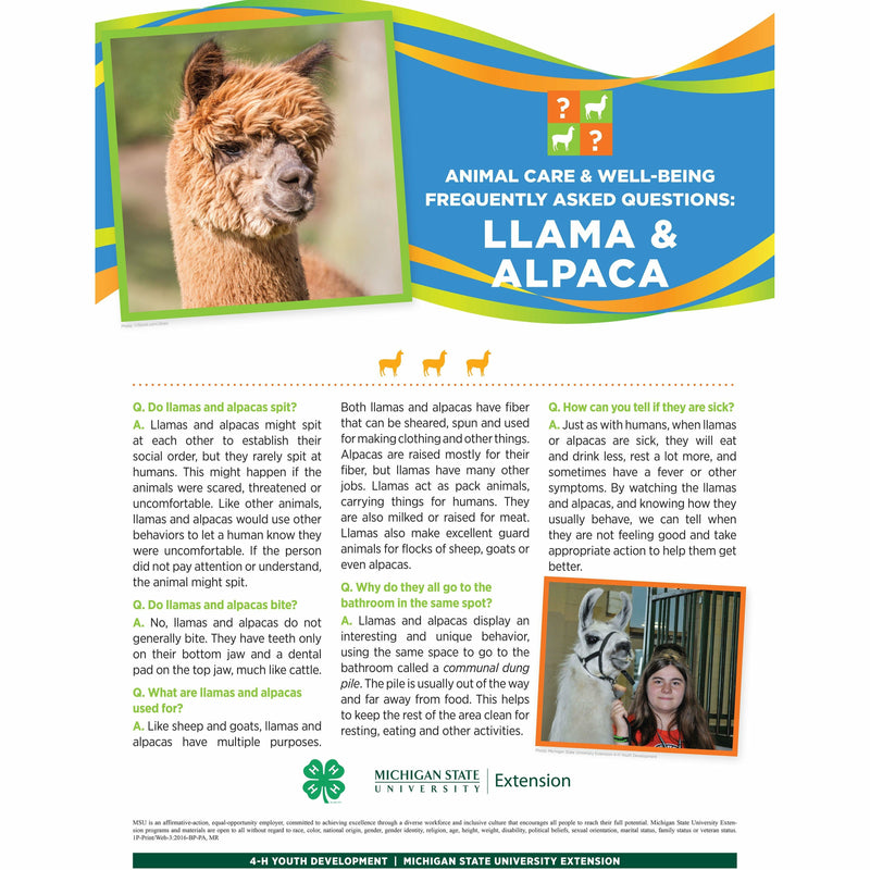 Poster titled "Animal care and well being frequently asked questions: Llama and Alpaca. A picture of an alpaca is at the top of the poster in front of a multi-colored banner. The lower half of the poster contains text with headings listed in a question and answer format. A girl guiding a llama is pictured in the bottom right.