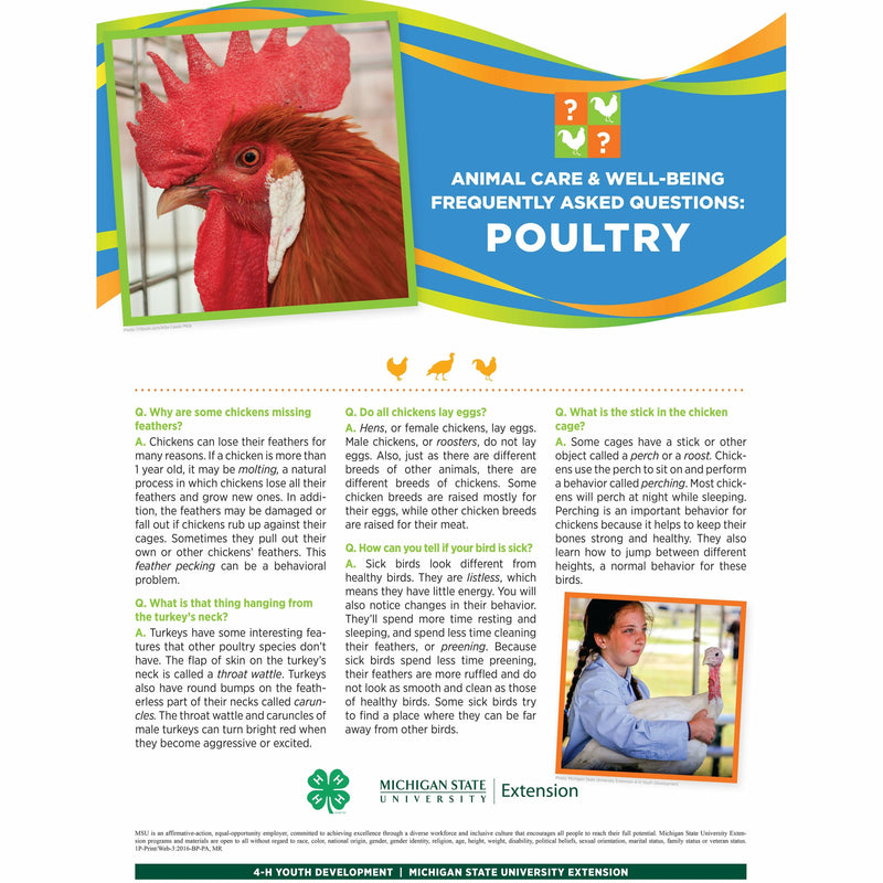 Poster titled "Animal care and well being frequently asked questions: Poultry. A picture of a rooster is at the top of the poster in front of a multi-colored banner. The lower half of the poster contains text with headings listed in a question and answer format. A girl holding a turkey is pictured in the bottom right.