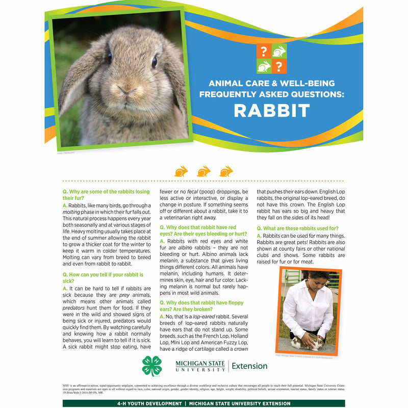 Poster titled "Animal care and well being frequently asked questions: Rabbit. A picture of a rabbit is at the top of the poster in front of a multi-colored banner. The lower half of the poster contains text with headings listed in a question and answer format. A girl petting a rabbit is pictured in the bottom right.