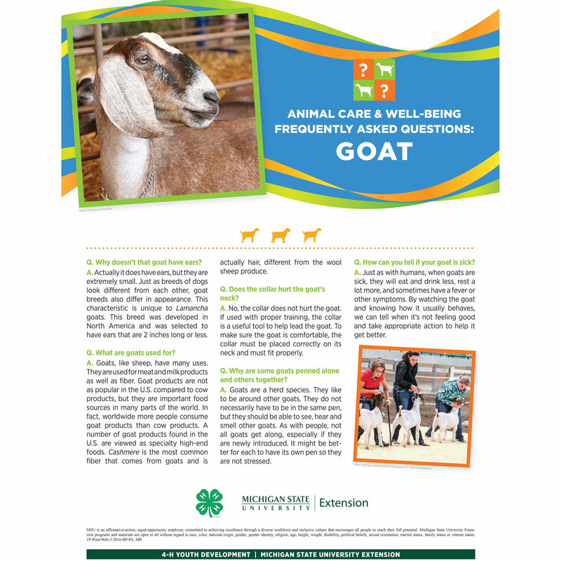 Poster titled "Animal care and well being frequently asked questions: Goat." A picture of a goat is at the top of the poster in front of a multi-colored banner. The lower half of the poster contains text with headings listed in a question and answer format. A group of girls holding goats is pictured in the bottom right.