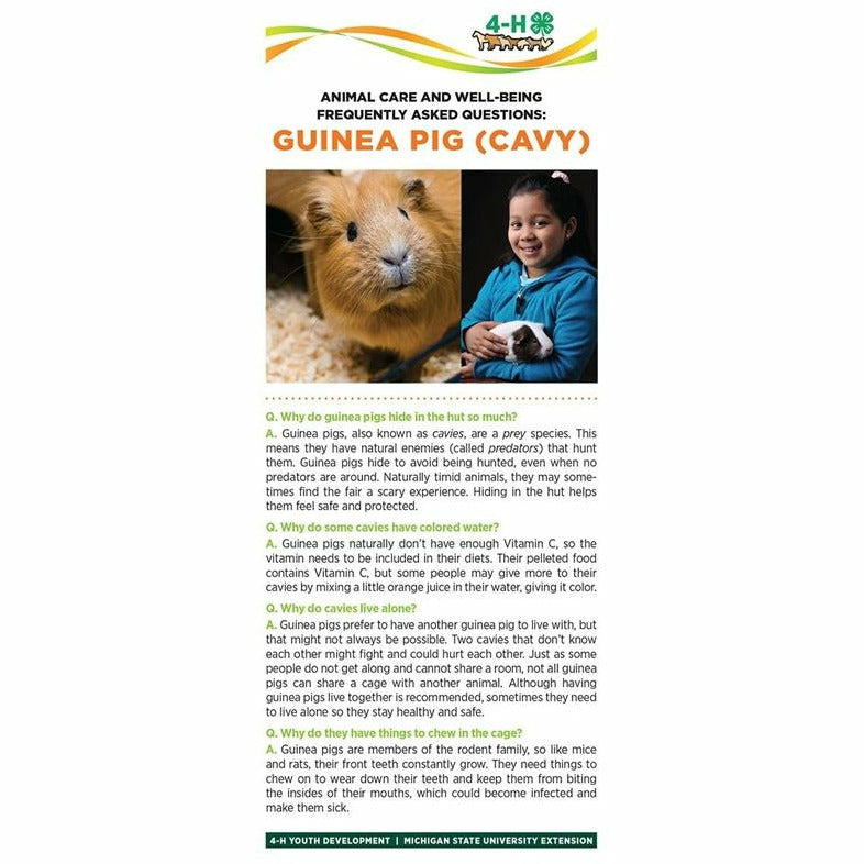 Bookmark titled "Animal care and well being frequently asked questions: Guinea Pig (Cavy)." Pictures of a guinea pig and a girl holding a guinea pig are at the top of the bookmark. The lower half of the bookmark contains text with headings listed in a question and answer format.