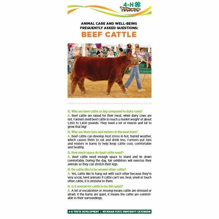 Bookmark titled "Animal care and well being frequently asked questions: Beef Cattle." A picture of a boy guiding a cow is at the top of the bookmark. The lower half of the bookmark contains text with headings listed in a question and answer format.