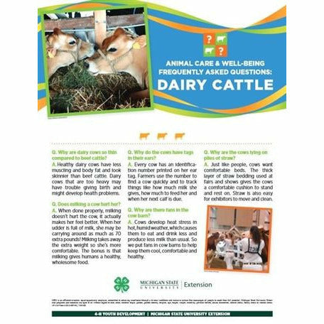 Poster titled "Animal care and well being frequently asked questions: Dairy Cattle." A picture of two cows is at the top of the poster in front of a multi-colored banner. The lower half of the poster contains text with headings listed in a question and answer format. A group of girls guiding cows is pictured in the bottom right.