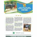 Poster titled "Animal care and well being frequently asked questions: Swine." A picture of a pig is at the top of the poster in front of a multi-colored banner. The lower half of the poster contains text with headings listed in a question and answer format. A girl guiding a pig is pictured in the bottom right.