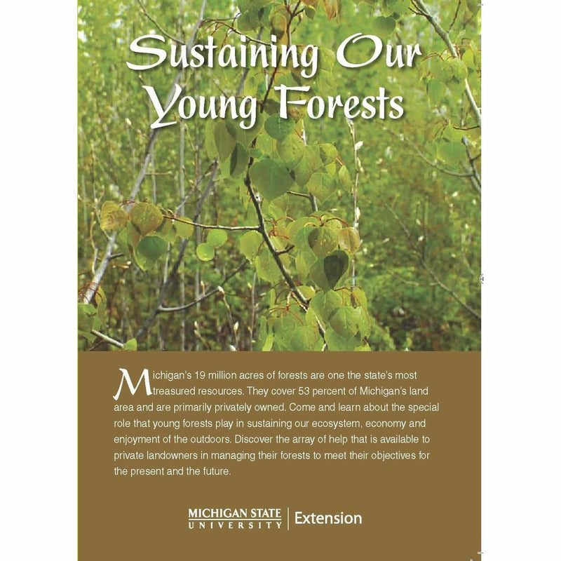 Cover of the Sustaining Our Young Forests DVD with a photo of tree branches