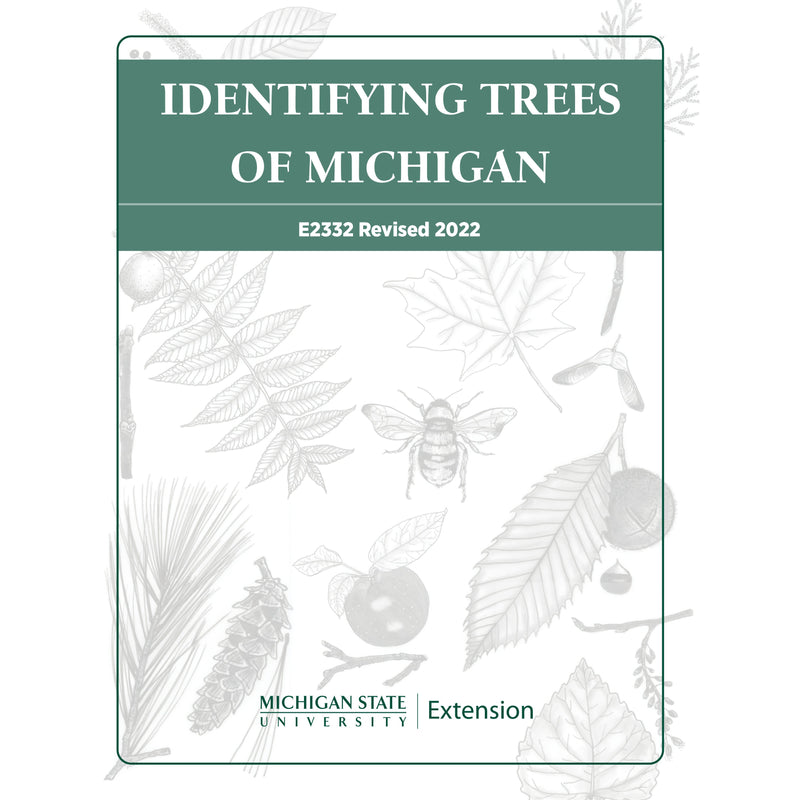 Cover of the book "Identifying Trees of Michigan". The title is in white lettering encompassed in a forest green background banner. Below the banner, in black and white, are drawings of various insects, tree branches, and fruits with the MSU Extension signature logo on the bottom in green. 