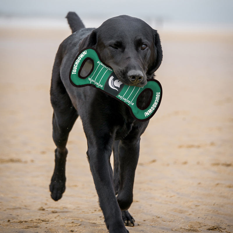 Black dog walking on the beach with a Michigan State green tug toy in his mouth