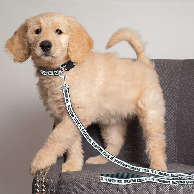A puppy facing sideways with a white Michigan state collar and leash with green writing.