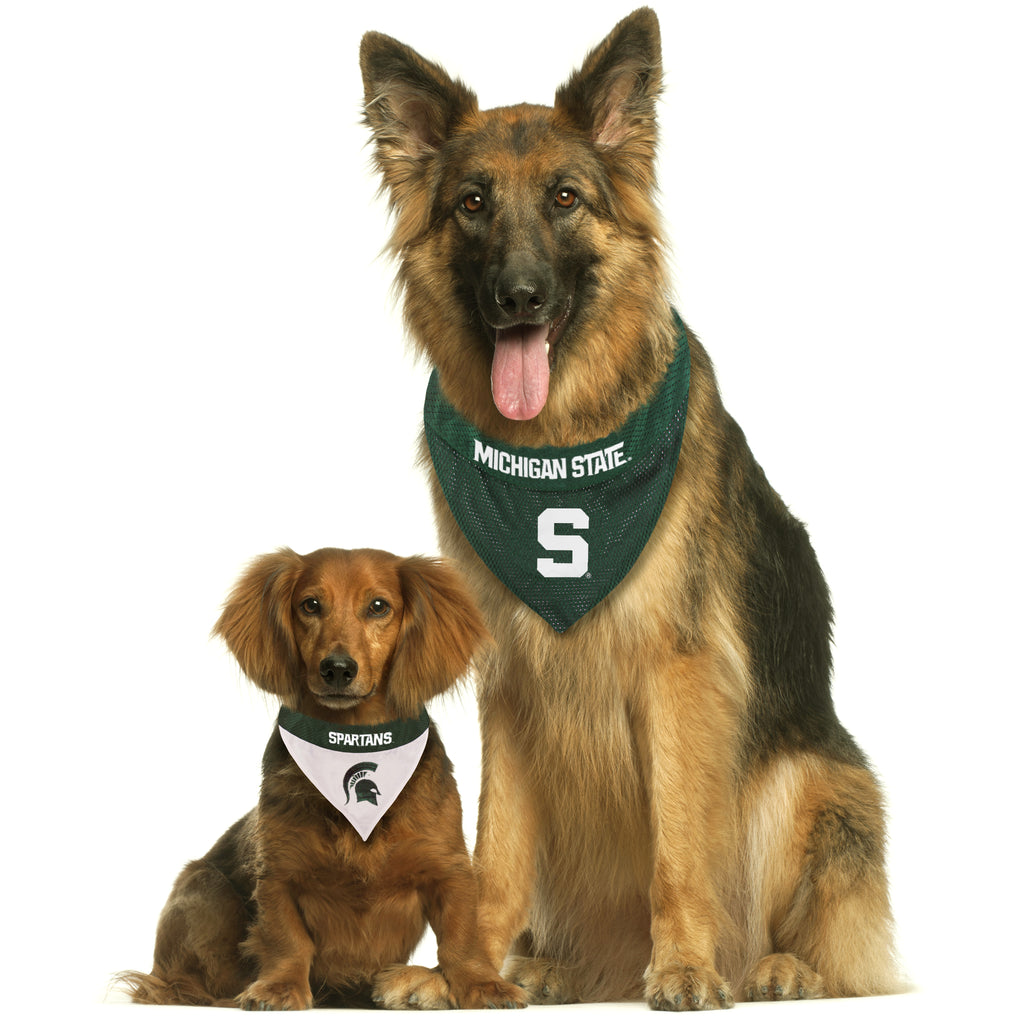 Michigan State Spartans Dog Jersey