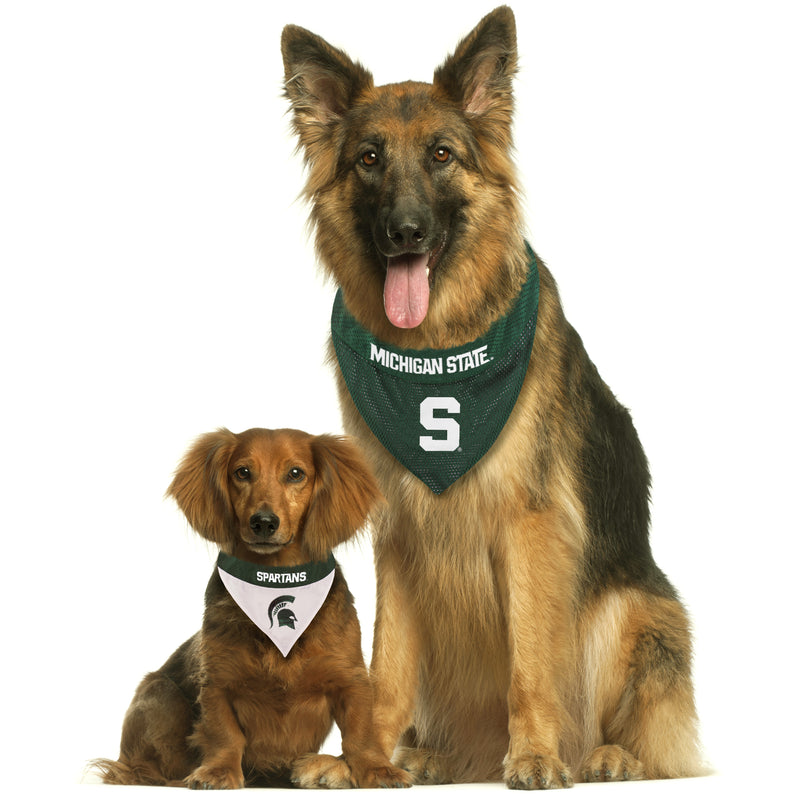 A small dog with a white Spartans bandana and a large dog with a green Michigan State bandana sit facing the camera.