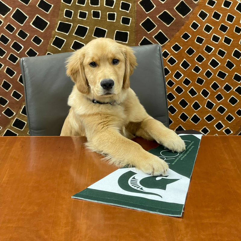 A golden retriever sits at a table holding the RCAH pennant under their paws
