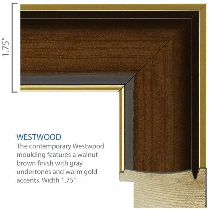 Close-up render of the 1.75" wide frame corner. Text reads "The contemporary Westwood moulding features a walnut brown finish with gray undertones and warm gold accents." Frame has a slight inward curve and a deep bevel before the exterior gold.